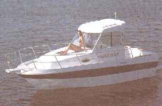 DELFIN 830 (2.000)