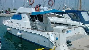 CATA 356 (2.001)