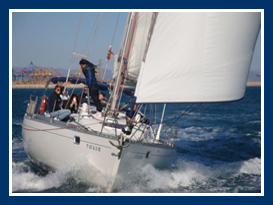 FEELING 486 “ATLANTIC CINCO”